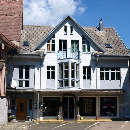 Zwinglis Ferienwohnung Nesslau المظهر الخارجي الصورة